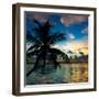 Silhouette of Palm Tree at Sunset-Philippe Hugonnard-Framed Photographic Print