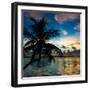 Silhouette of Palm Tree at Sunset-Philippe Hugonnard-Framed Photographic Print