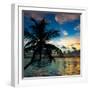 Silhouette of Palm Tree at Sunset-Philippe Hugonnard-Framed Photographic Print