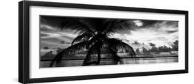 Silhouette of Palm Tree at Sunset-Philippe Hugonnard-Framed Premium Photographic Print