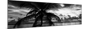 Silhouette of Palm Tree at Sunset-Philippe Hugonnard-Mounted Photographic Print