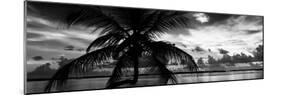 Silhouette of Palm Tree at Sunset-Philippe Hugonnard-Mounted Photographic Print