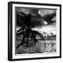 Silhouette of Palm Tree at Sunset-Philippe Hugonnard-Framed Photographic Print