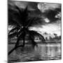 Silhouette of Palm Tree at Sunset-Philippe Hugonnard-Mounted Photographic Print