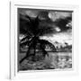 Silhouette of Palm Tree at Sunset-Philippe Hugonnard-Framed Photographic Print