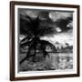 Silhouette of Palm Tree at Sunset-Philippe Hugonnard-Framed Photographic Print