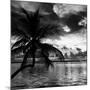 Silhouette of Palm Tree at Sunset-Philippe Hugonnard-Mounted Photographic Print