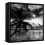 Silhouette of Palm Tree at Sunset-Philippe Hugonnard-Framed Stretched Canvas