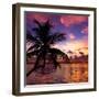 Silhouette of Palm Tree at Sunset-Philippe Hugonnard-Framed Premium Photographic Print