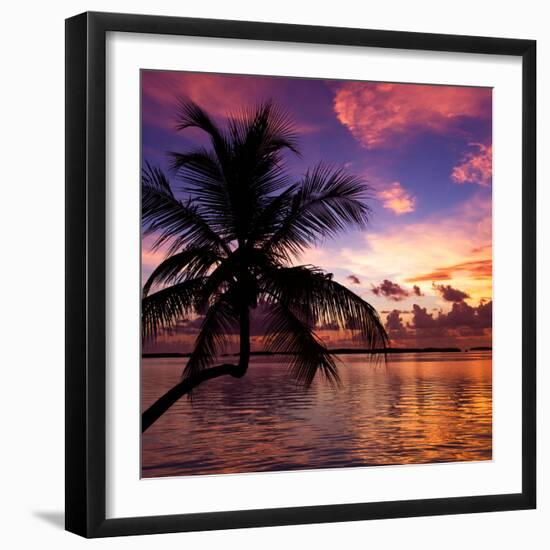 Silhouette of Palm Tree at Sunset-Philippe Hugonnard-Framed Premium Photographic Print