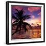 Silhouette of Palm Tree at Sunset-Philippe Hugonnard-Framed Premium Photographic Print