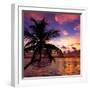 Silhouette of Palm Tree at Sunset-Philippe Hugonnard-Framed Premium Photographic Print