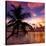 Silhouette of Palm Tree at Sunset-Philippe Hugonnard-Stretched Canvas