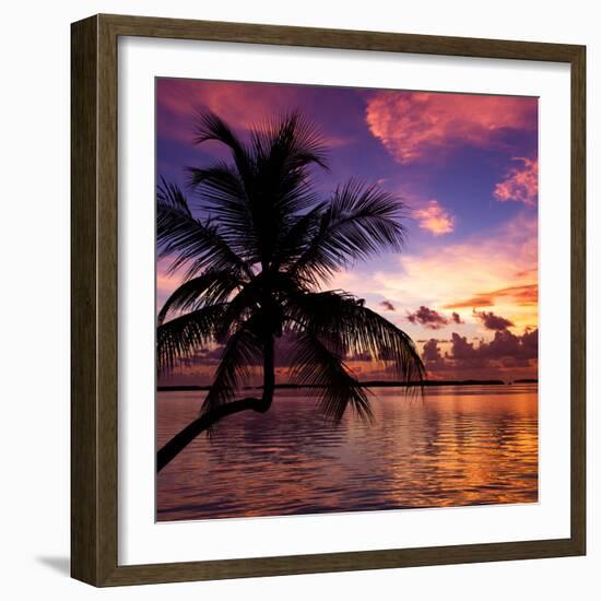 Silhouette of Palm Tree at Sunset-Philippe Hugonnard-Framed Photographic Print