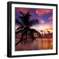 Silhouette of Palm Tree at Sunset-Philippe Hugonnard-Framed Photographic Print