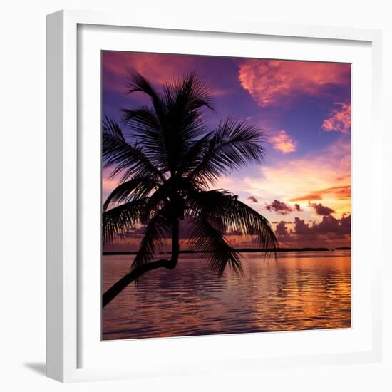 Silhouette of Palm Tree at Sunset-Philippe Hugonnard-Framed Photographic Print