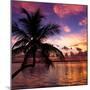 Silhouette of Palm Tree at Sunset-Philippe Hugonnard-Mounted Photographic Print