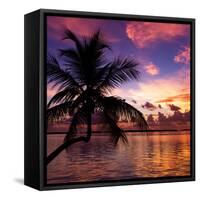 Silhouette of Palm Tree at Sunset-Philippe Hugonnard-Framed Stretched Canvas