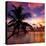 Silhouette of Palm Tree at Sunset-Philippe Hugonnard-Stretched Canvas