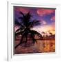 Silhouette of Palm Tree at Sunset-Philippe Hugonnard-Framed Photographic Print