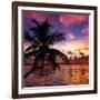 Silhouette of Palm Tree at Sunset-Philippe Hugonnard-Framed Photographic Print