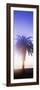 Silhouette of palm tree on beach during fog at sunset, Santa Barbara, California, USA-null-Framed Photographic Print