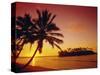 Silhouette of Palm Trees and Desert Island at Sunrise, Rarotonga, Cook Islands, South Pacific-Dominic Webster-Stretched Canvas
