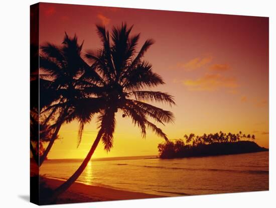 Silhouette of Palm Trees and Desert Island at Sunrise, Rarotonga, Cook Islands, South Pacific-Dominic Webster-Stretched Canvas