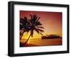 Silhouette of Palm Trees and Desert Island at Sunrise, Rarotonga, Cook Islands, South Pacific-Dominic Webster-Framed Photographic Print