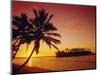 Silhouette of Palm Trees and Desert Island at Sunrise, Rarotonga, Cook Islands, South Pacific-Dominic Webster-Mounted Photographic Print