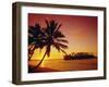 Silhouette of Palm Trees and Desert Island at Sunrise, Rarotonga, Cook Islands, South Pacific-Dominic Webster-Framed Photographic Print