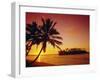 Silhouette of Palm Trees and Desert Island at Sunrise, Rarotonga, Cook Islands, South Pacific-Dominic Webster-Framed Photographic Print