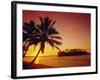 Silhouette of Palm Trees and Desert Island at Sunrise, Rarotonga, Cook Islands, South Pacific-Dominic Webster-Framed Photographic Print