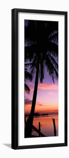 Silhouette of Palm Trees at Dawn, Pine Island, Lee County, Florida, USA-null-Framed Photographic Print