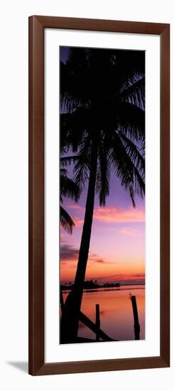 Silhouette of Palm Trees at Dawn, Pine Island, Lee County, Florida, USA-null-Framed Photographic Print