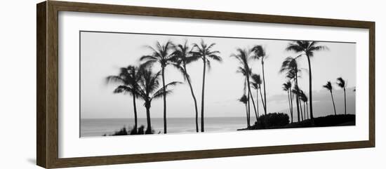 Silhouette of Palm Trees at Dusk, Hawaii, USA-null-Framed Photographic Print