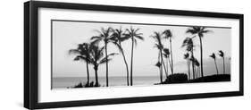 Silhouette of Palm Trees at Dusk, Hawaii, USA-null-Framed Photographic Print
