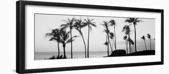 Silhouette of Palm Trees at Dusk, Hawaii, USA-null-Framed Photographic Print