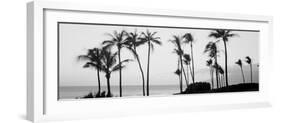 Silhouette of Palm Trees at Dusk, Hawaii, USA-null-Framed Photographic Print