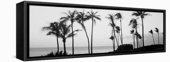 Silhouette of Palm Trees at Dusk, Hawaii, USA-null-Framed Stretched Canvas