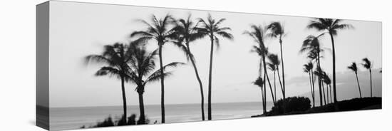 Silhouette of Palm Trees at Dusk, Hawaii, USA-null-Stretched Canvas