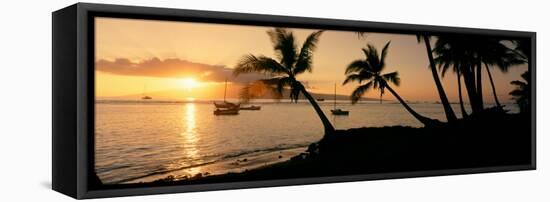 Silhouette of Palm Trees at Dusk, Lahaina, Maui, Hawaii, USA-null-Framed Stretched Canvas