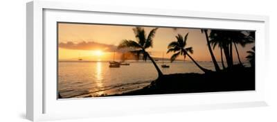 'Silhouette of Palm Trees at Dusk, Lahaina, Maui, Hawaii, USA ...