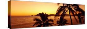 Silhouette of Palm Trees at Dusk, Manzanillo, Mexico-null-Stretched Canvas