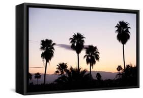 Silhouette of Palm Trees at Dusk, Palm Springs, Riverside County, California, USA-null-Framed Stretched Canvas