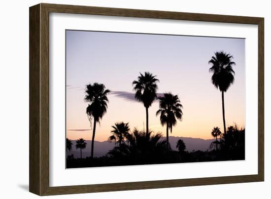 Silhouette of Palm Trees at Dusk, Palm Springs, Riverside County, California, USA-null-Framed Photographic Print