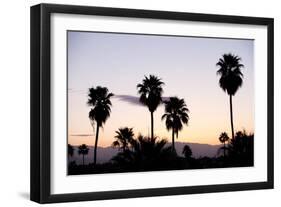 Silhouette of Palm Trees at Dusk, Palm Springs, Riverside County, California, USA-null-Framed Photographic Print