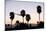 Silhouette of Palm Trees at Dusk, Palm Springs, Riverside County, California, USA-null-Mounted Photographic Print