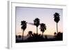 Silhouette of Palm Trees at Dusk, Palm Springs, Riverside County, California, USA-null-Framed Photographic Print