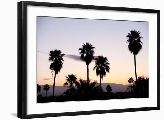 Silhouette of Palm Trees at Dusk, Palm Springs, Riverside County, California, USA-null-Framed Photographic Print